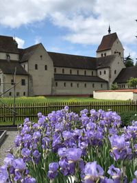Kloster Reichenau